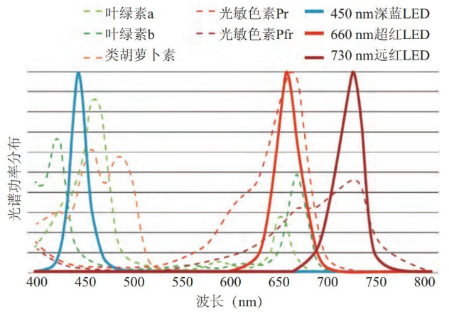 1-200G0105H1M4.png