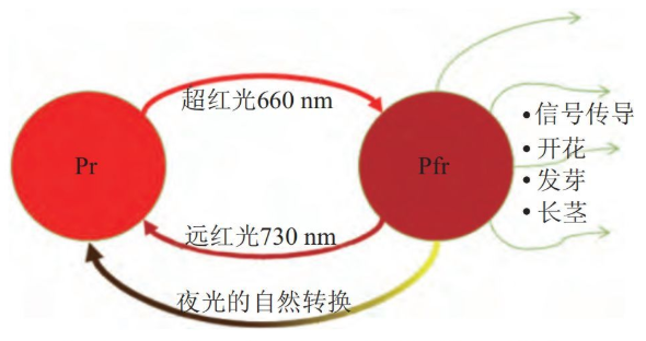 1-200G0105K1933.png