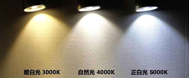 1-210303094336145.jpg