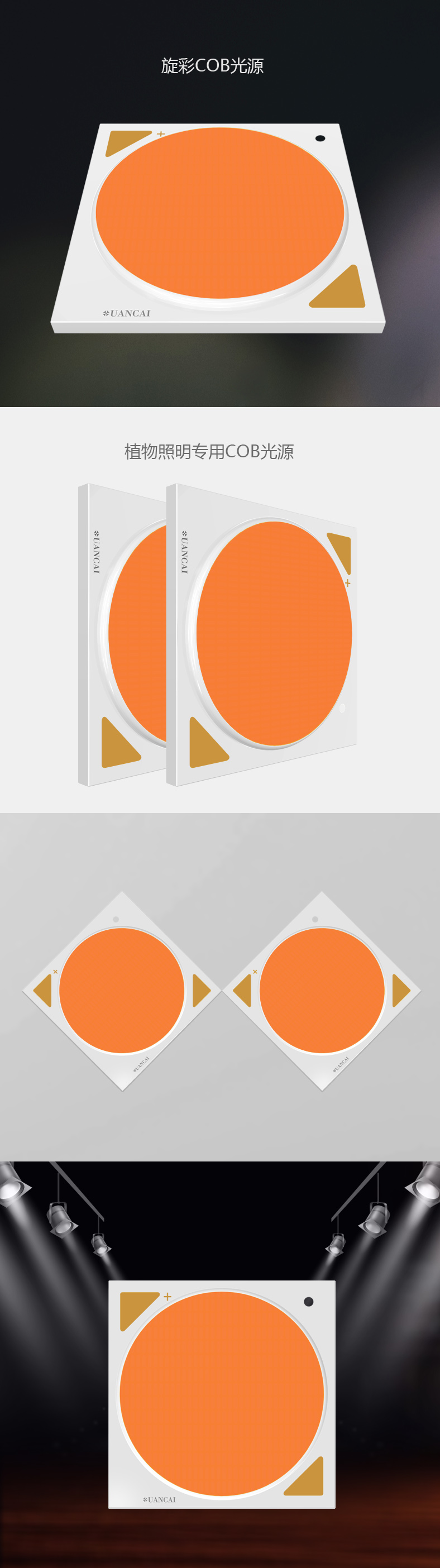 植物灯COB光源38*38/35 300W 普瑞芯片 cob led 全光谱植物灯光源(图1)