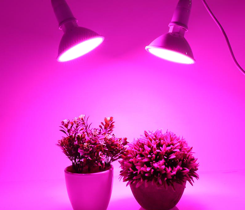 植物灯COB光源38*38/35 300W 普瑞芯片 cob led 全光谱植物灯光源(图5)