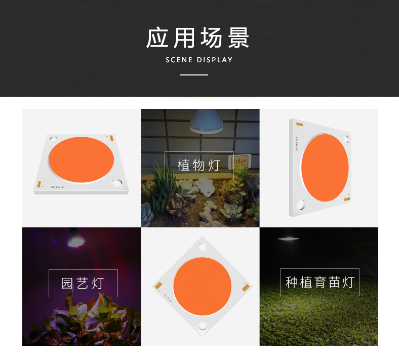植物灯COB光源 28*28/24  200W 普瑞芯片  LED 植物灯COB灯珠(图2)