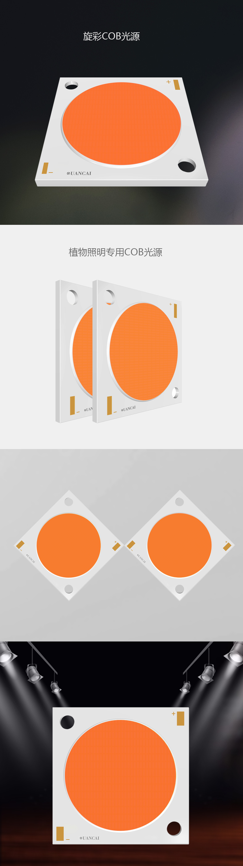 植物灯COB光源 28*28/24  200W 普瑞芯片  LED 植物灯COB灯珠(图1)