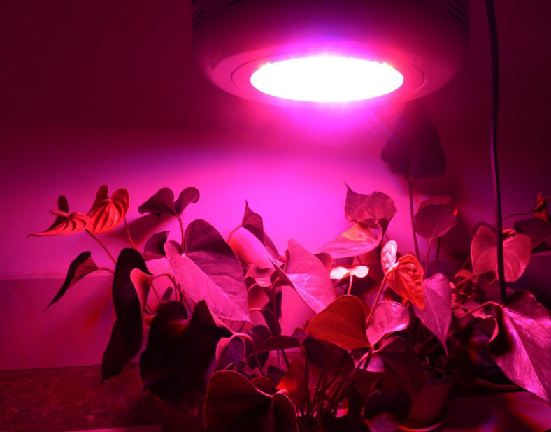 植物灯COB光源 28*28/24  200W 普瑞芯片  LED 植物灯COB灯珠(图6)