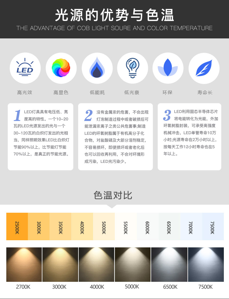 3838基板  COB双色温光源  大功率100W+100W(图5)