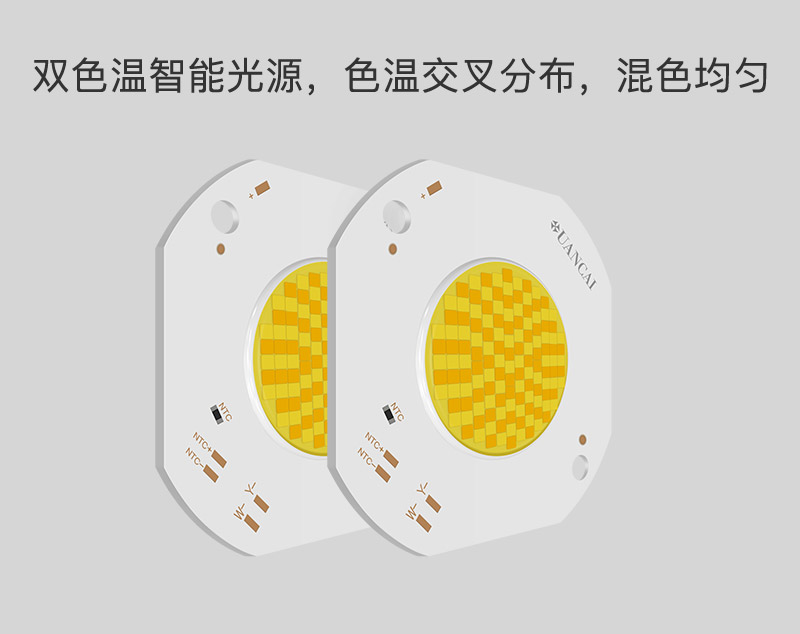 3838基板  COB双色温光源  大功率100W+100W(图4)