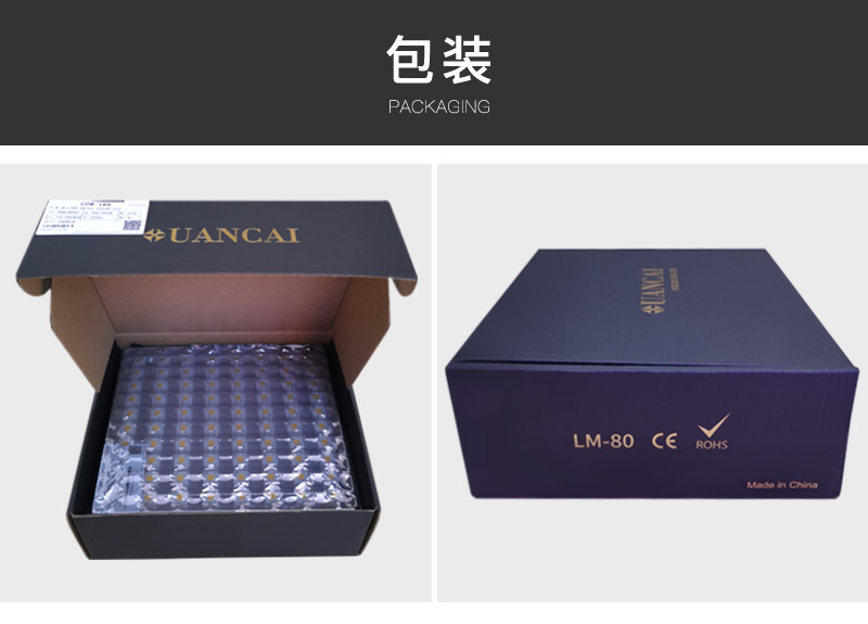 5353基板  COB双色温光源  大功率250W+250W(图7)