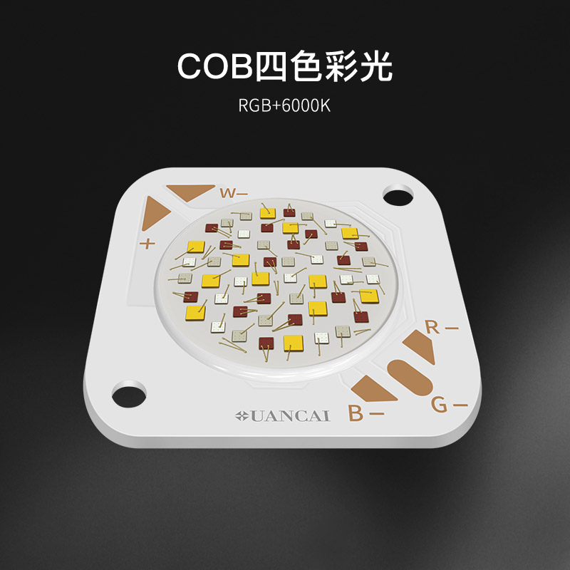1919基板  RGB+6000K COB光源(图1)