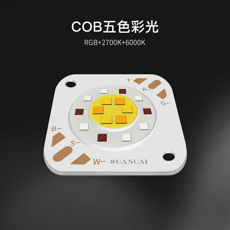 1313基板  RGBCW五合一 COB光源(图1)