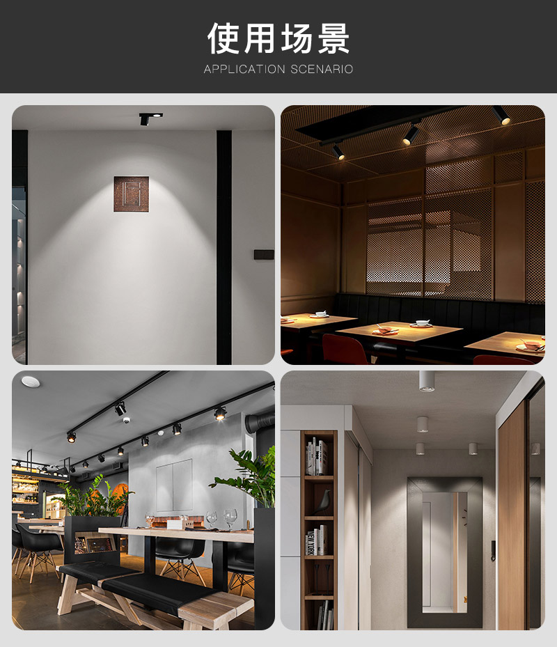 旋彩COB光源     1616/11    Ra>98(图11)