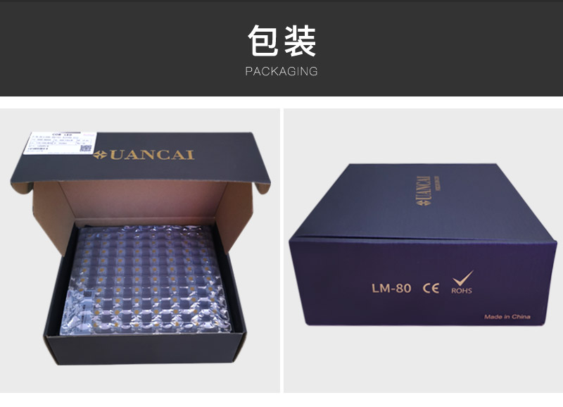 旋彩COB光源   1919/17    Ra>98(图9)